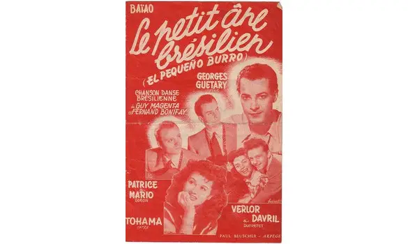 The little Brazilian donkey