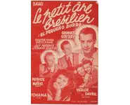 The little Brazilian donkey