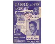 Ma belle au bois dormant