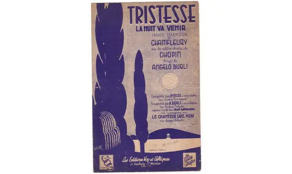 Sadness The night will come