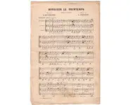 Monsieur le Printemps